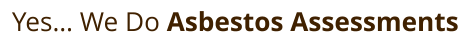 Yes… We Do Asbestos Assessments
